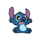 Crazy Stitch