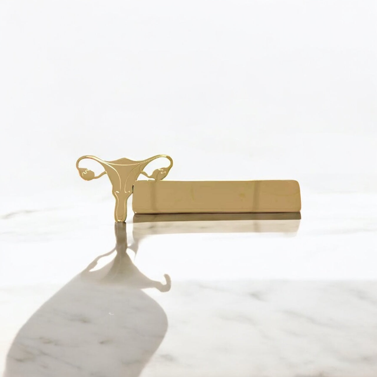 Ecuson- Dr./As. Ginecologie
