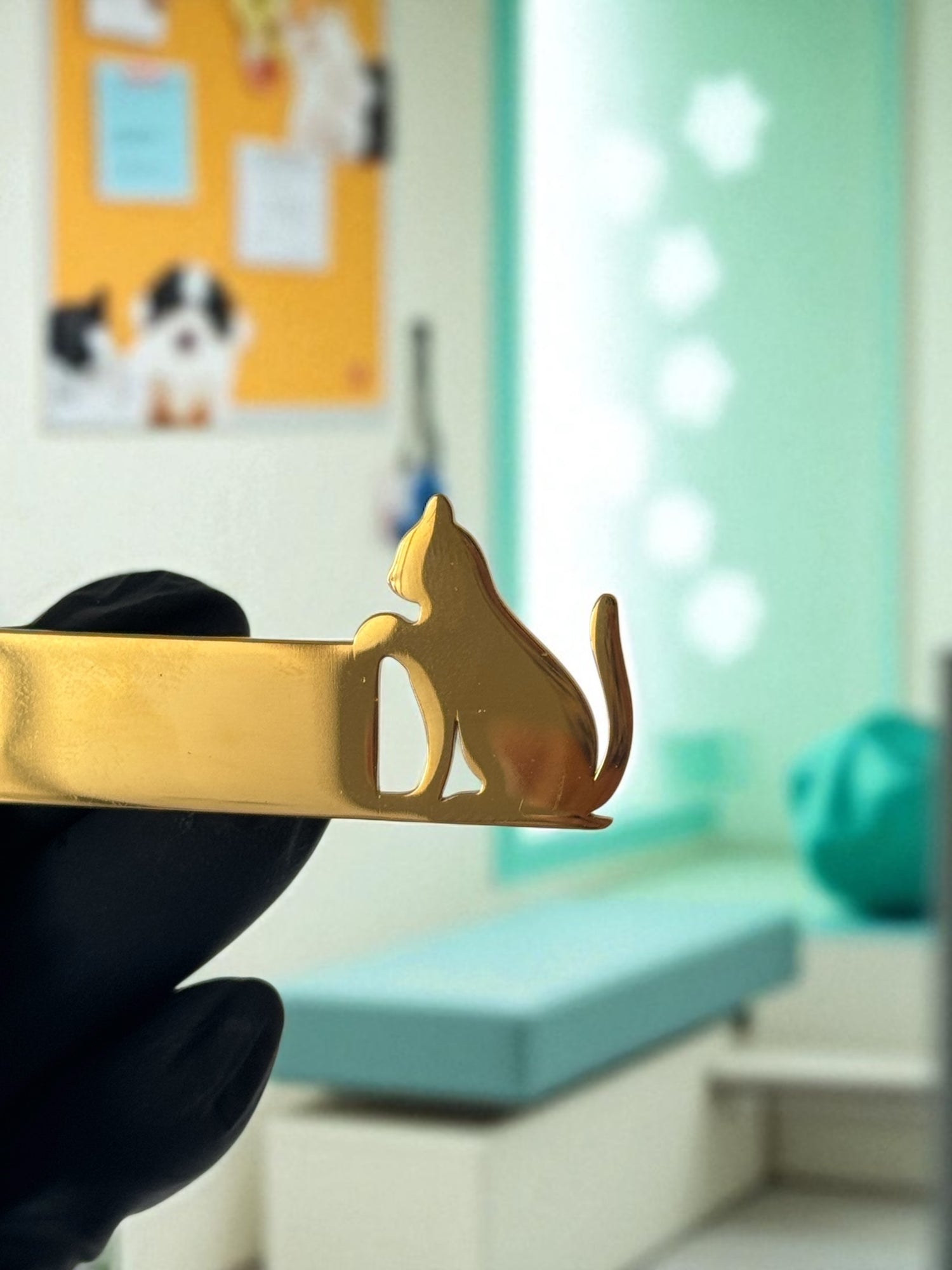Ecuson - Dr./As. - Veterinar